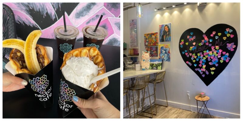 nector cafe