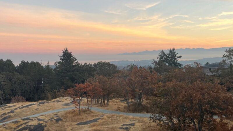 ビクトリアのハイキング風景