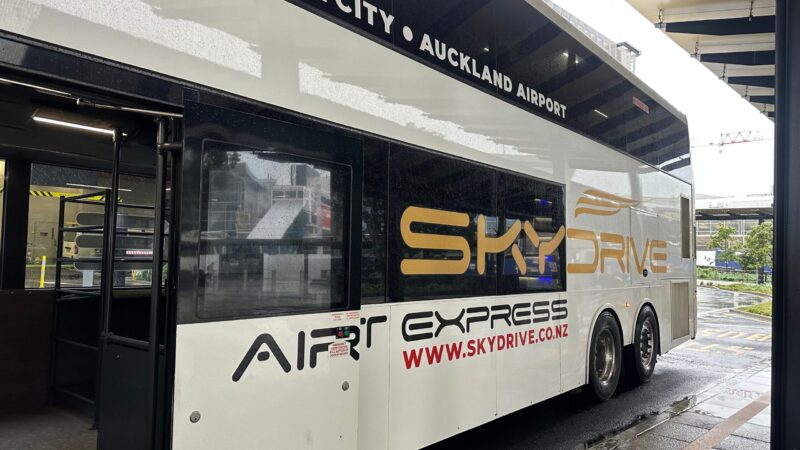 skydrive車体