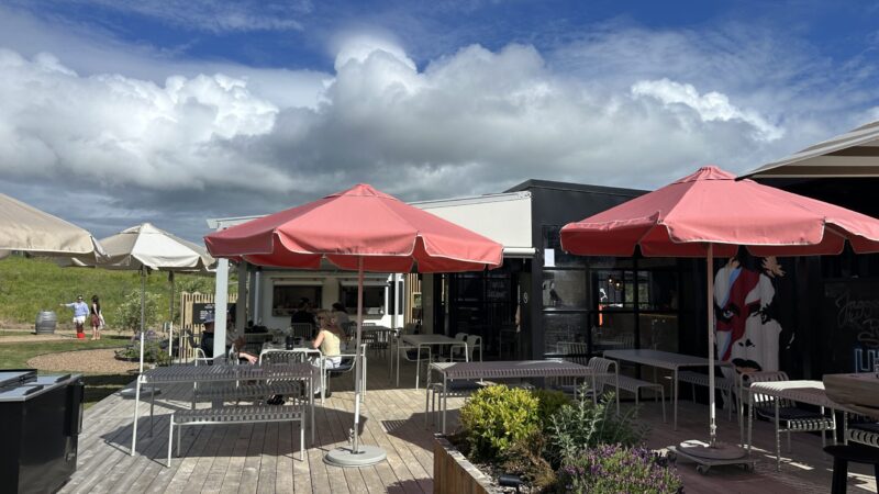 SOHO FAMILY VINE YARDS