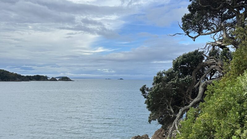 Fishermans Rockでハイキング
