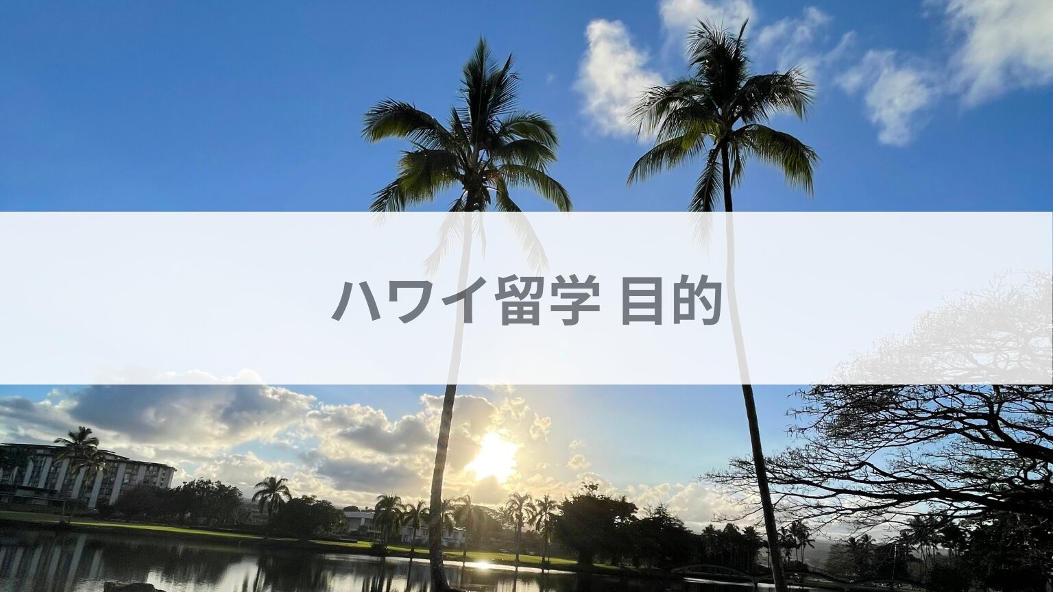 ハワイ留学目的