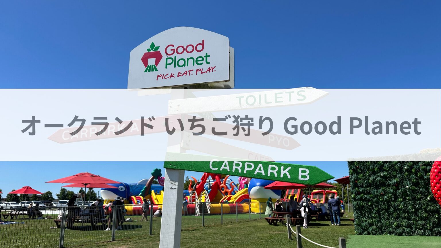 ニュージーランド オークランド いちご狩り Good Planet