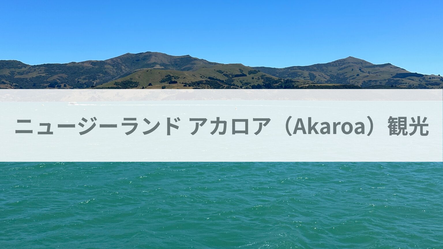 ニュージーランド アカロア（Akaroa）観光