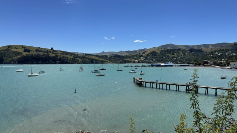 アカロア（Akaroa）