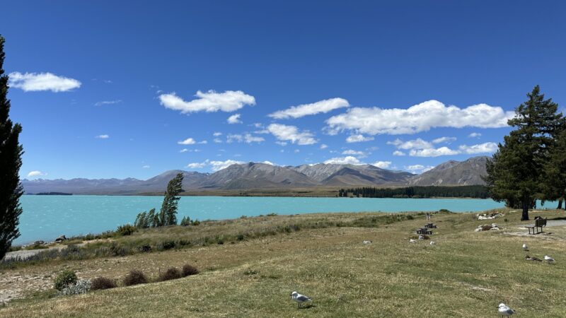 tekapo湖