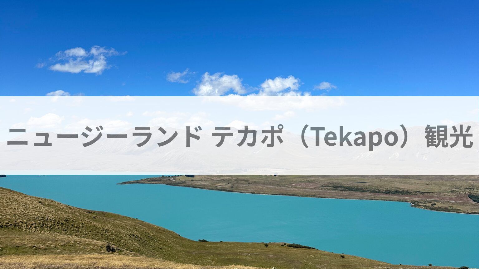 ニュージーランド テカポ（Tekapo）観光